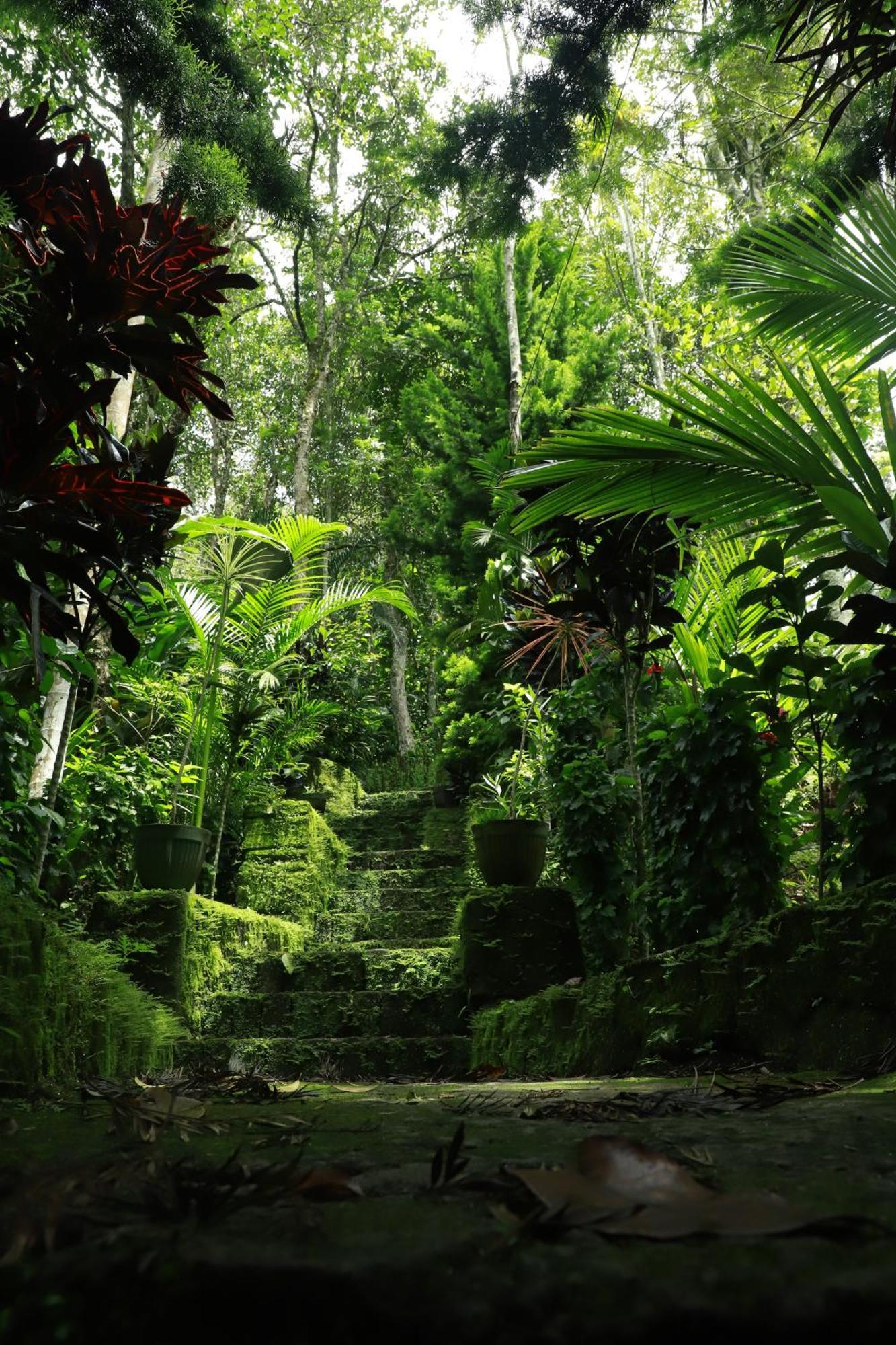 Nature Villa Anachal Ngoại thất bức ảnh