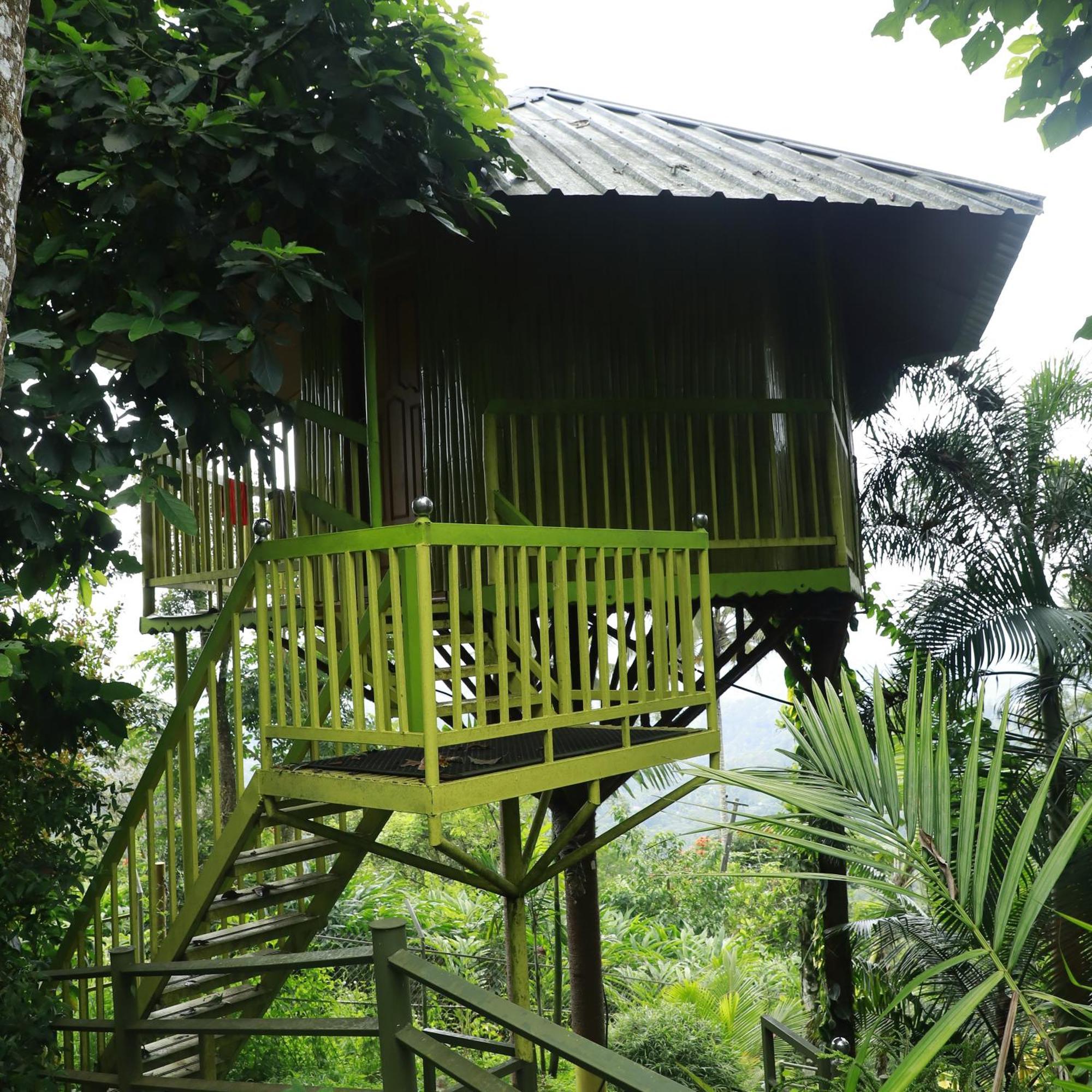 Nature Villa Anachal Ngoại thất bức ảnh
